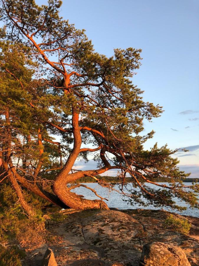 Joarsbo, Stuga 1, Sjoelyckan Kalv Exteriér fotografie